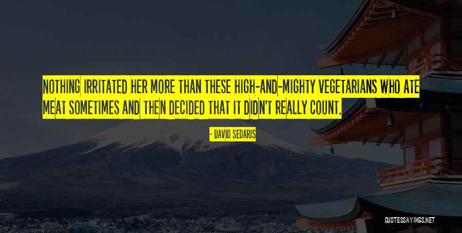 High And Mighty Quotes By David Sedaris