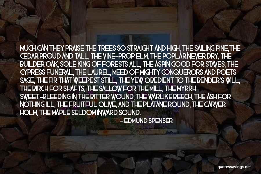 High And Mighty Quotes By Edmund Spenser High And Mighty Quotes By Edmund Spenser