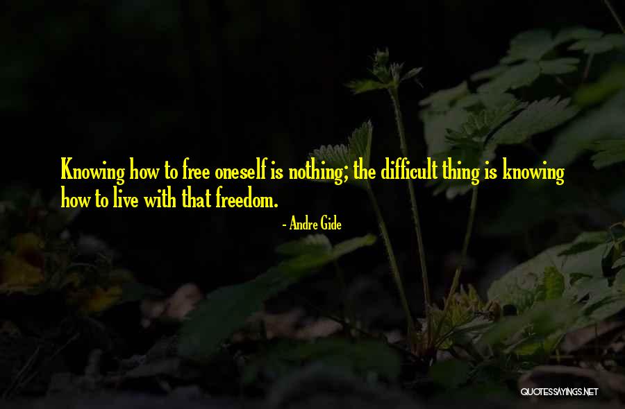High As A Kite Quotes By Andre Gide High As A Kite Quotes By Andre Gide