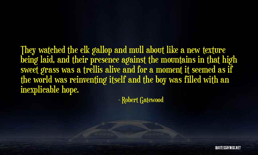 High Boy Quotes By Robert Gatewood High Boy Quotes By Robert Gatewood