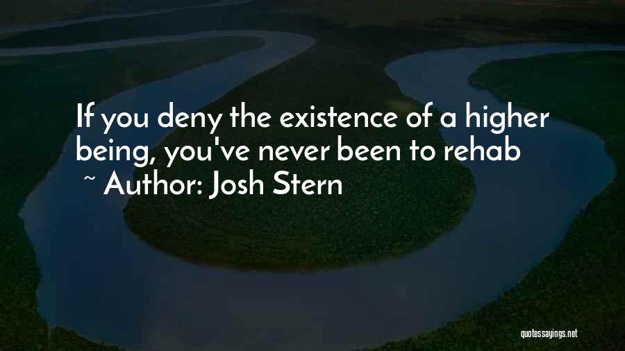 High Existence Quotes By Josh Stern