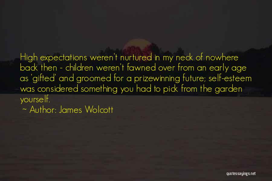 High Expectations For Yourself Quotes By James Wolcott