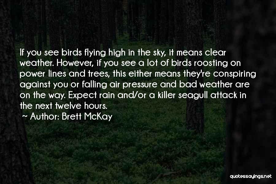 High Flying Birds Quotes By Brett McKay