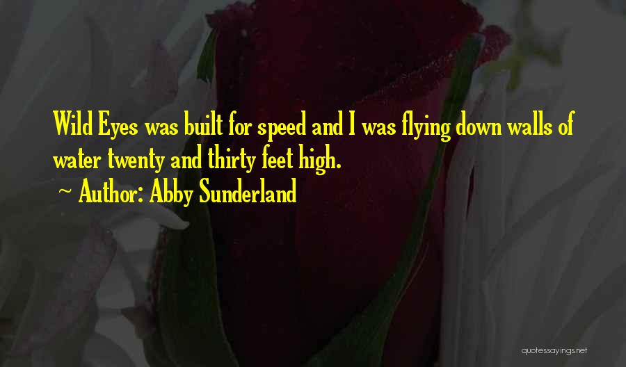 High Flying Quotes By Abby Sunderland