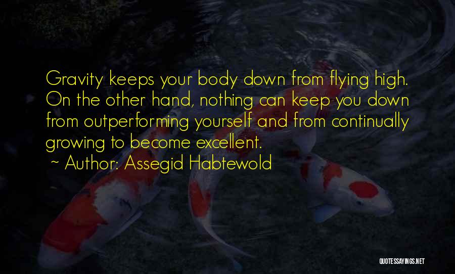 High Flying Quotes By Assegid Habtewold