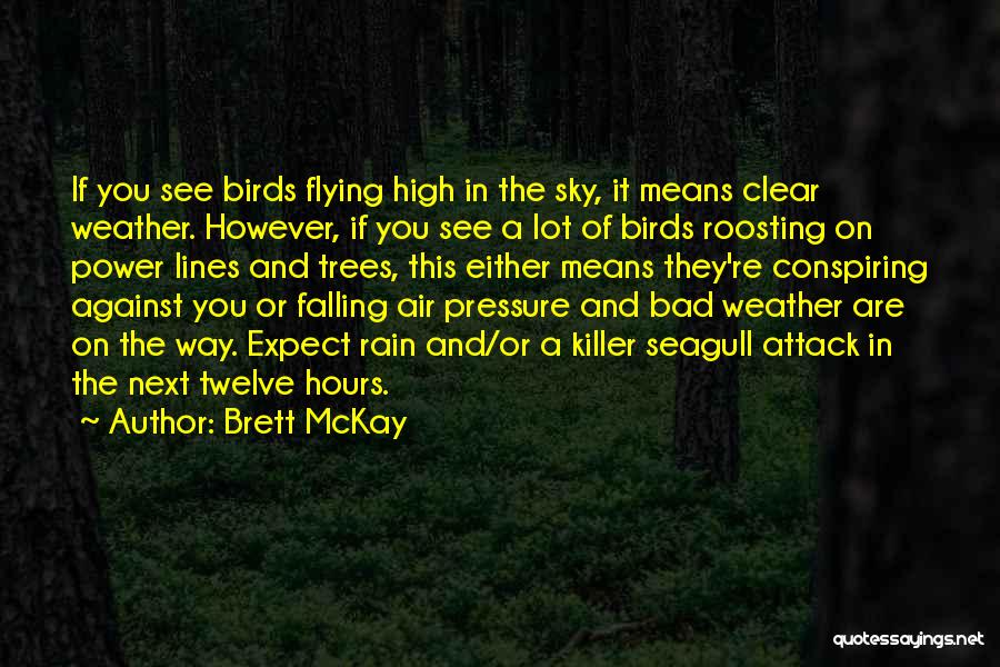 High Flying Quotes By Brett McKay