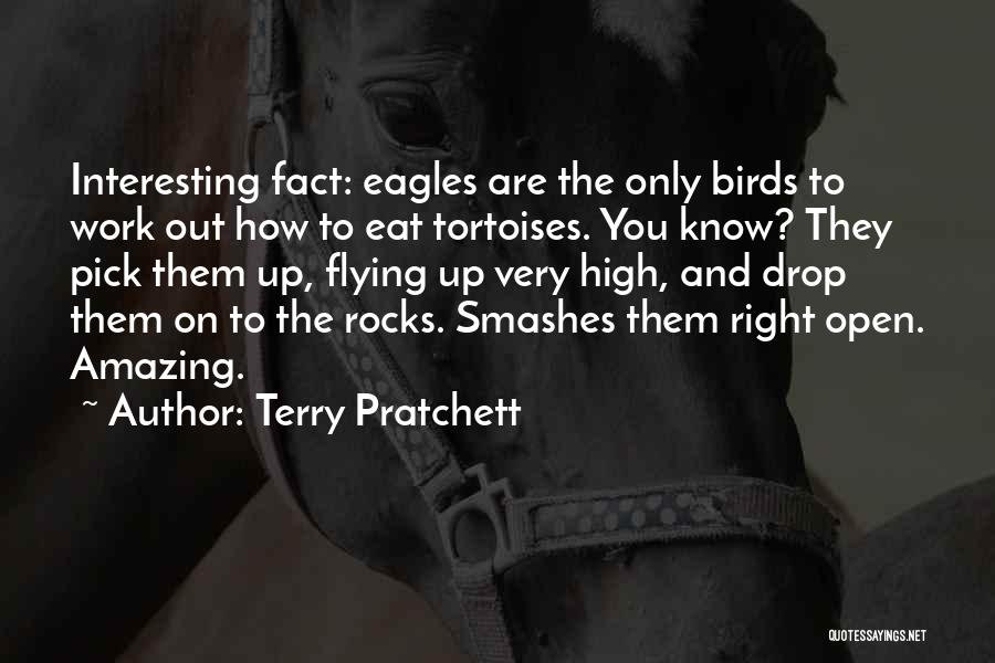 High Flying Quotes By Terry Pratchett