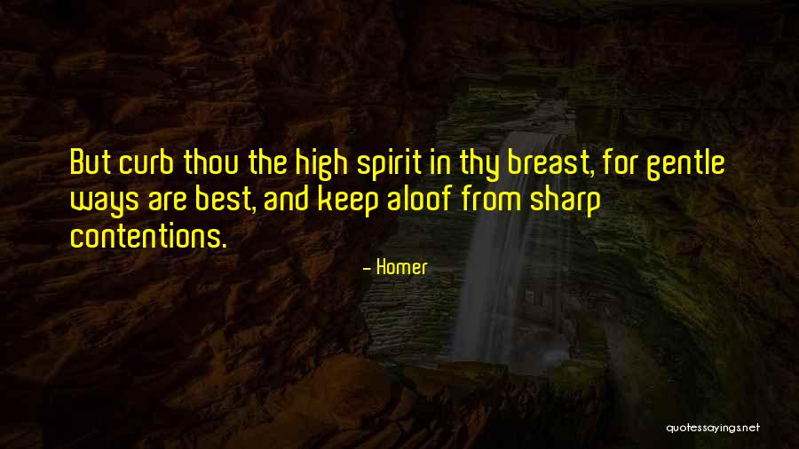 High In The Spirit Quotes By Homer High In The Spirit Quotes By Homer