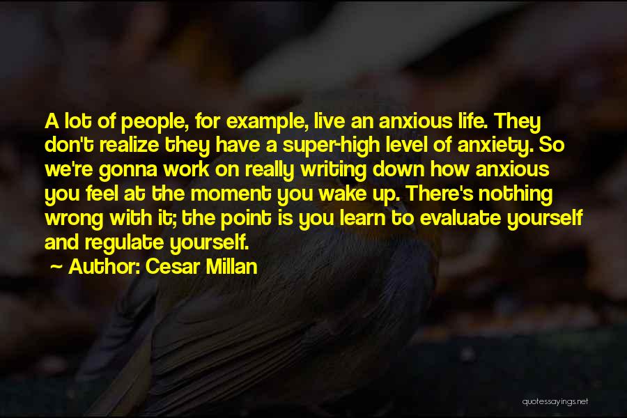 High Level Life Quotes By Cesar Millan