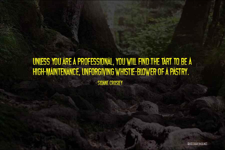 High Maintenance Quotes By Sloane Crosley High Maintenance Quotes By Sloane Crosley