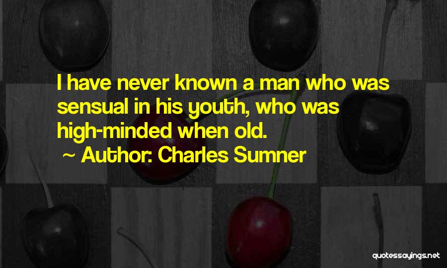 High Minded Quotes By Charles Sumner