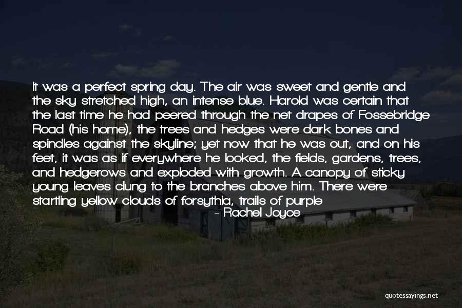 High On Happiness Quotes By Rachel Joyce High On Happiness Quotes By Rachel Joyce