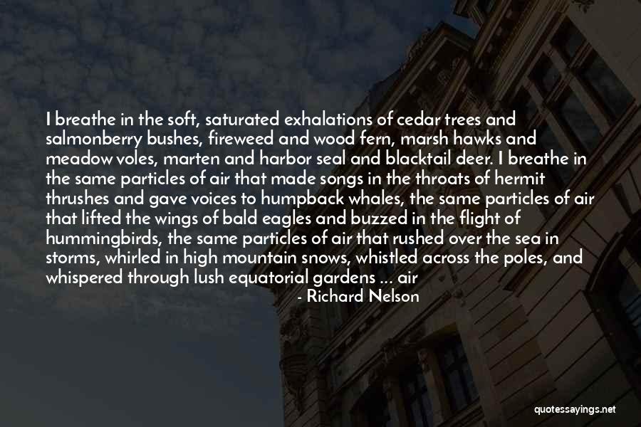 High On Nature Quotes By Richard Nelson High On Nature Quotes By Richard Nelson