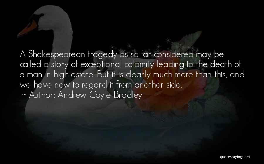 High Regard Quotes By Andrew Coyle Bradley