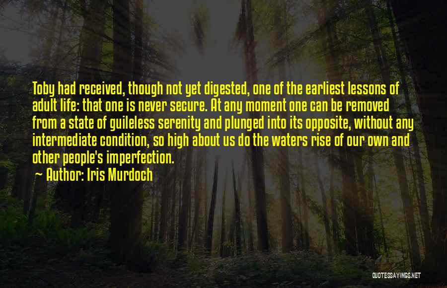 High Rise Quotes By Iris Murdoch