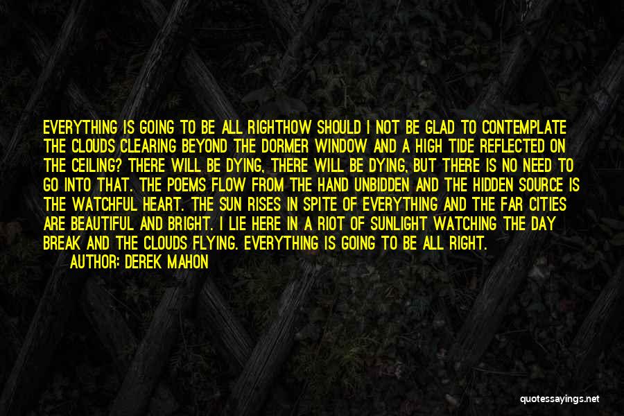 High Rises Quotes By Derek Mahon