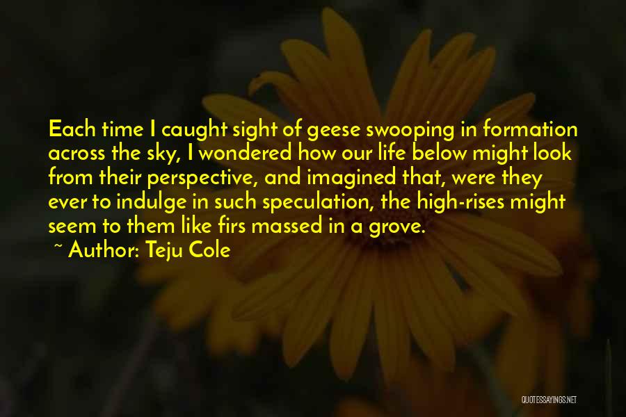 High Rises Quotes By Teju Cole