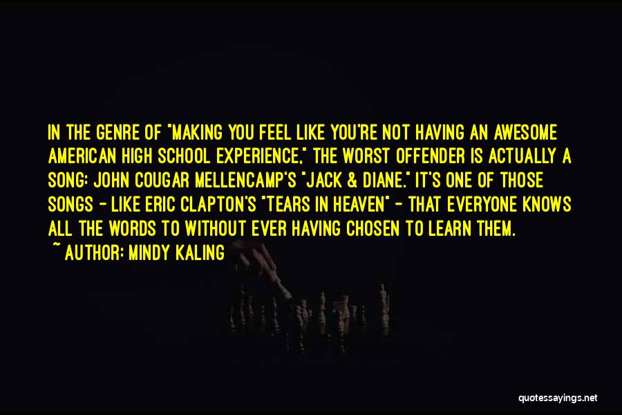 High School Experience Quotes By Mindy Kaling