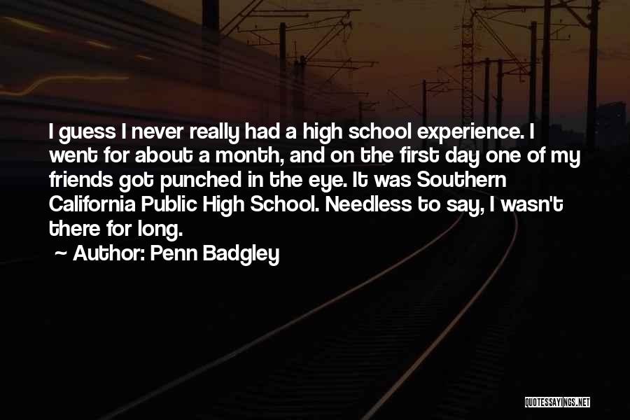 High School Experience Quotes By Penn Badgley