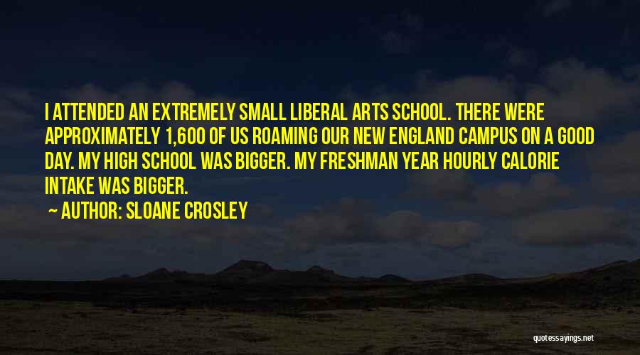 High School Good Quotes By Sloane Crosley