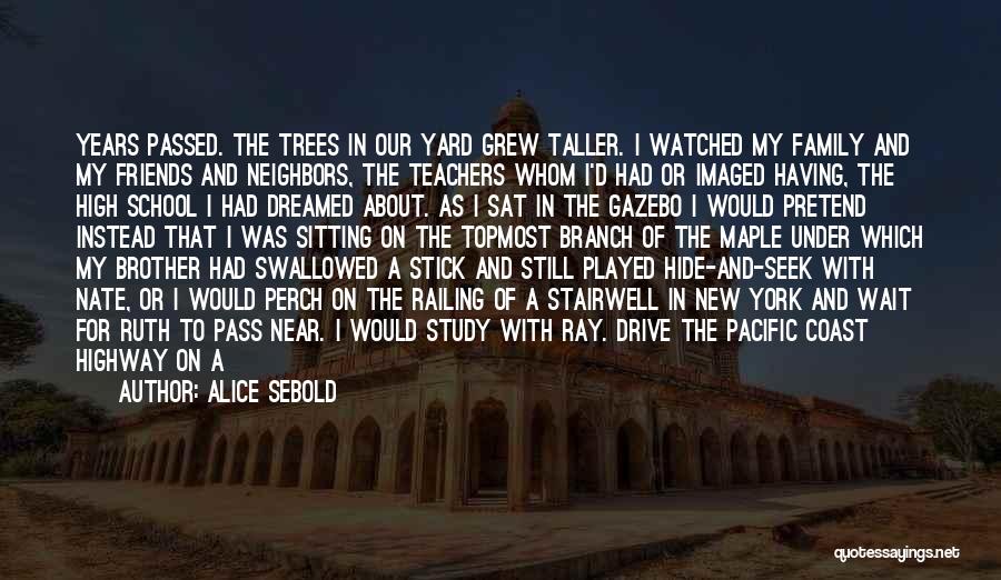 High School Quotes By Alice Sebold