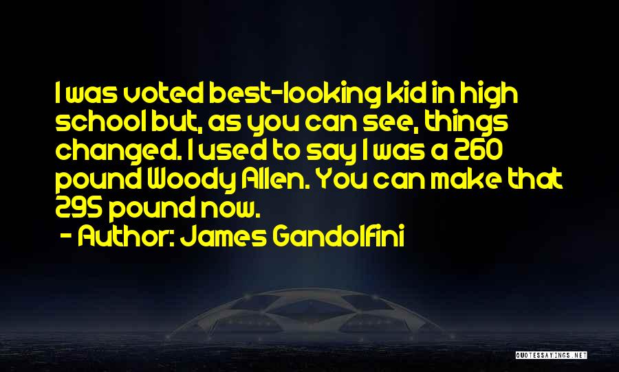 High School Quotes By James Gandolfini