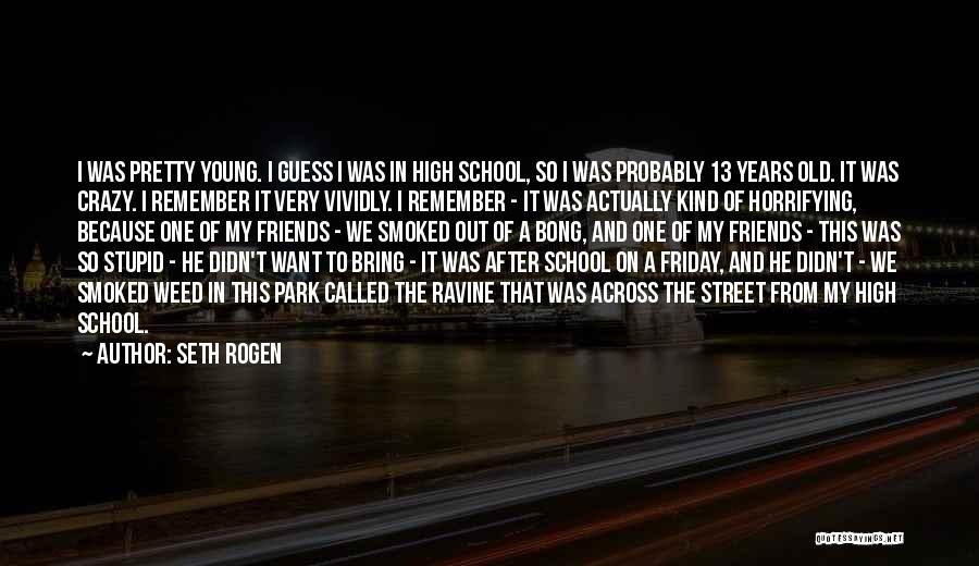 High School Weed Quotes By Seth Rogen