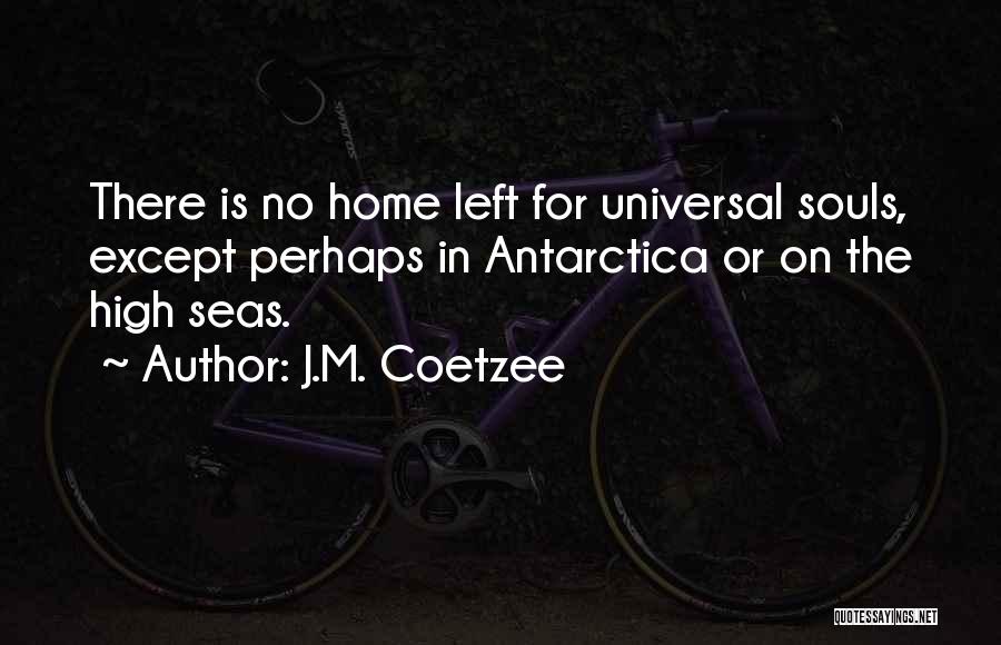 High Seas Quotes By J.M. Coetzee