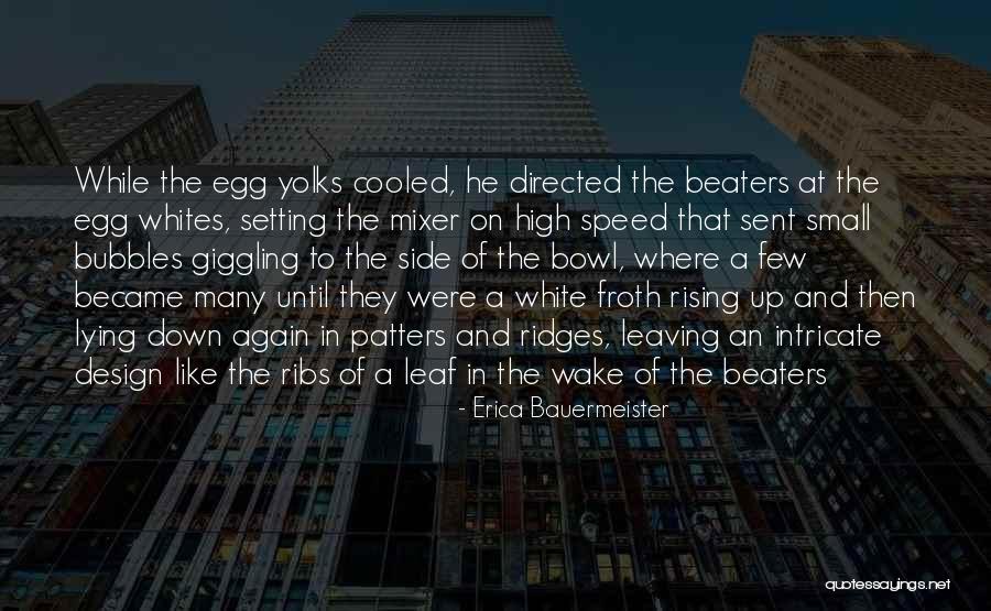 High Speed Quotes By Erica Bauermeister High Speed Quotes By Erica Bauermeister