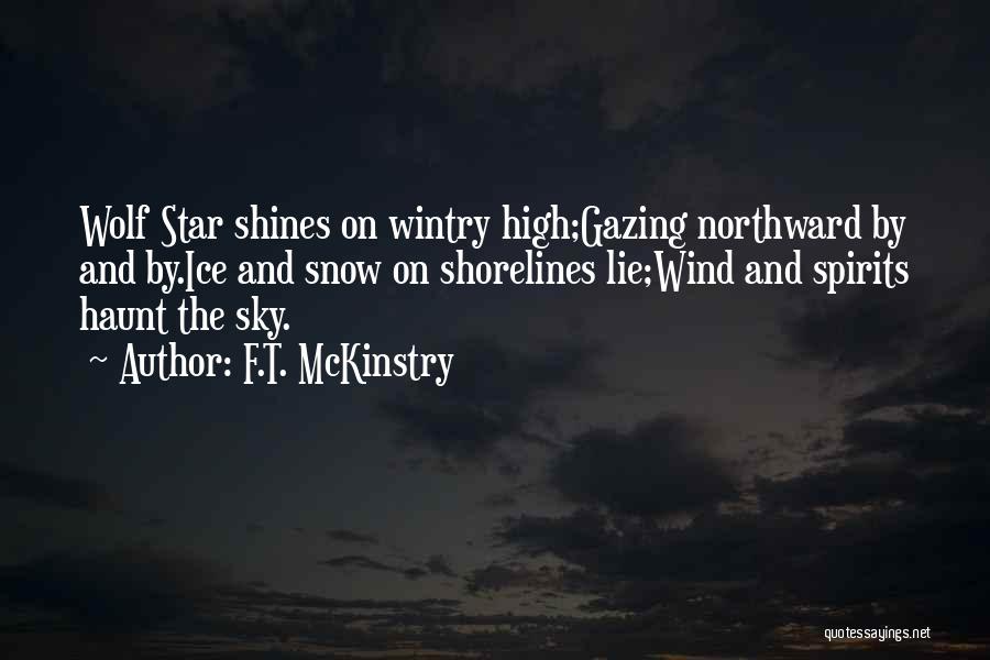 High Spirits Quotes By F.T. McKinstry