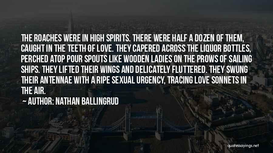 High Spirits Quotes By Nathan Ballingrud