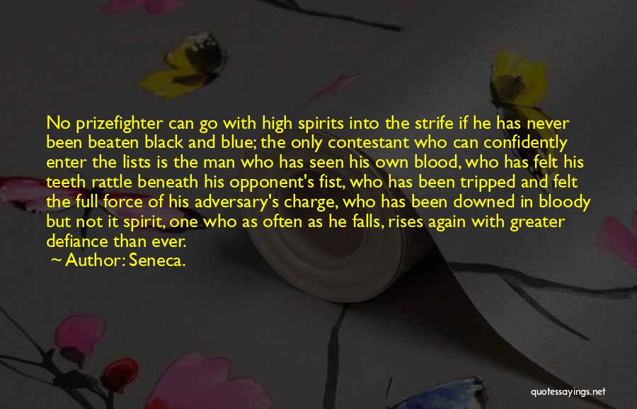 High Spirits Quotes By Seneca.