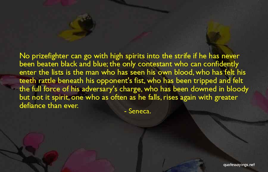 High Spirits Quotes By Seneca.