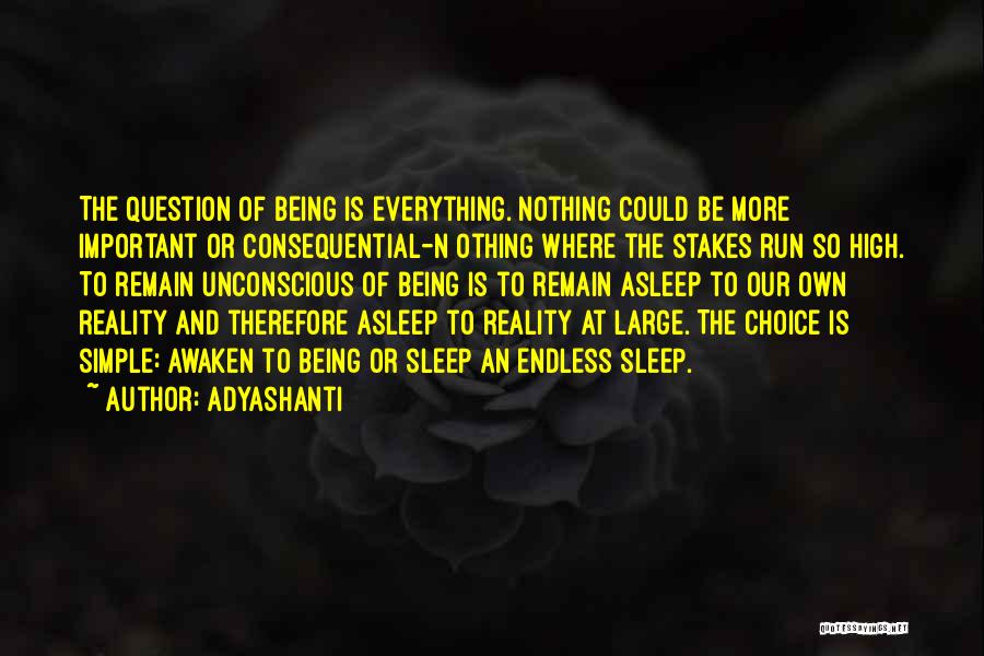High Stakes Quotes By Adyashanti