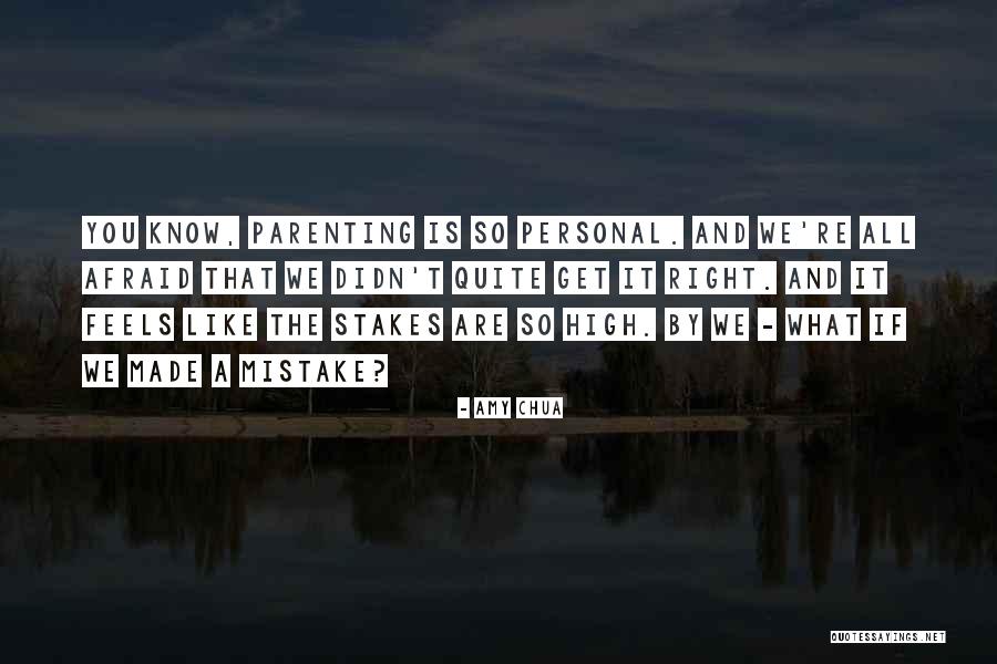 High Stakes Quotes By Amy Chua High Stakes Quotes By Amy Chua