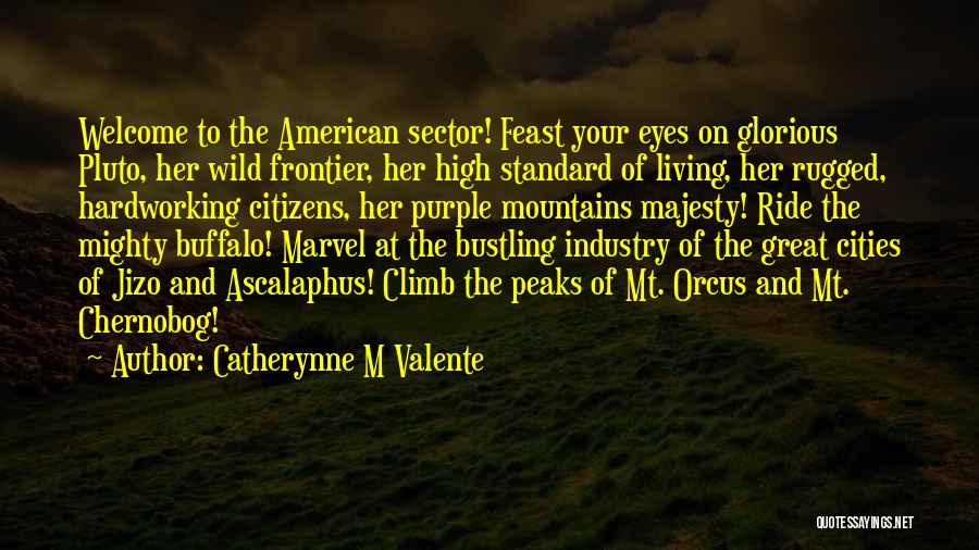 High Standard Of Living Quotes By Catherynne M Valente
