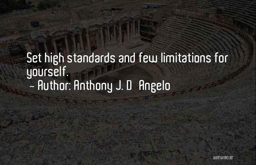 High Standards Quotes By Anthony J. D'Angelo