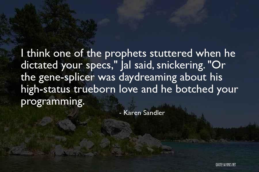 High Status Quotes By Karen Sandler