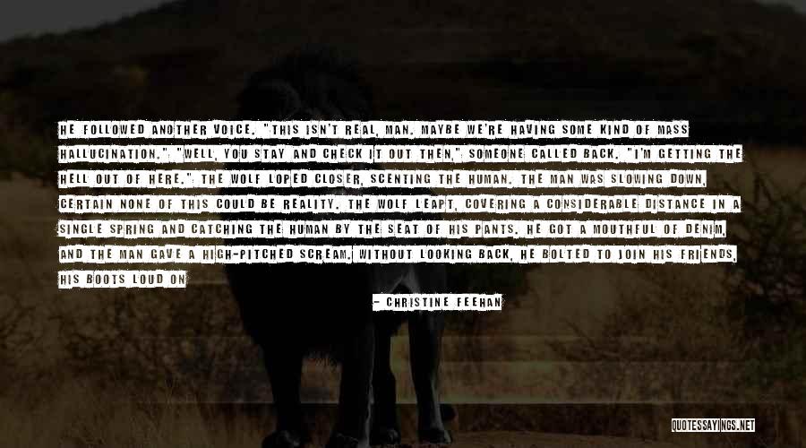 High Street Quotes By Christine Feehan High Street Quotes By Christine Feehan
