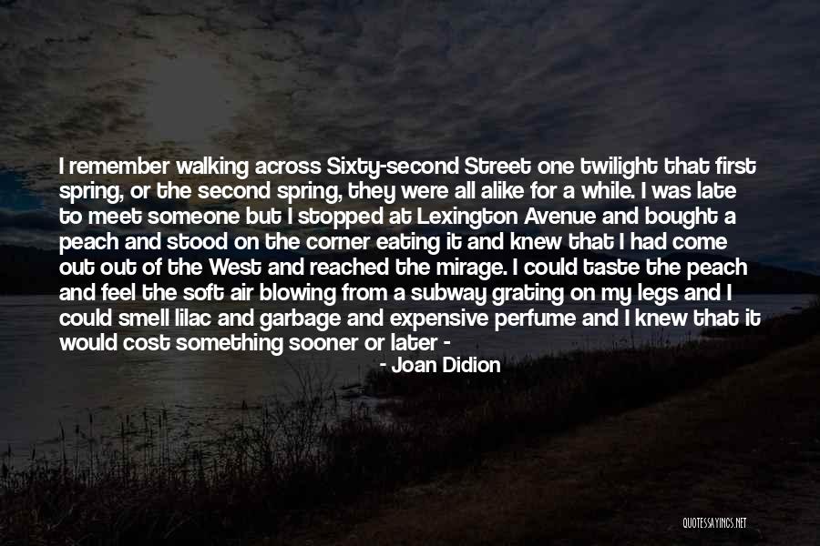 High Street Quotes By Joan Didion High Street Quotes By Joan Didion