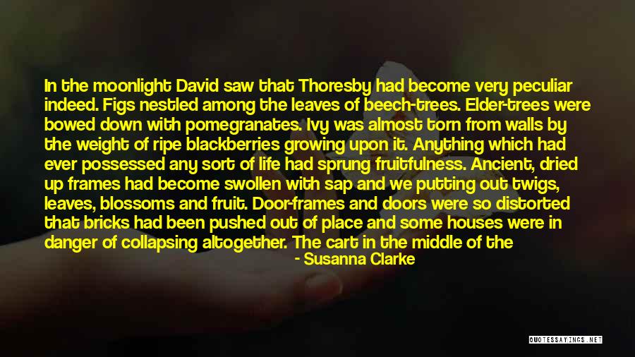 High Street Quotes By Susanna Clarke High Street Quotes By Susanna Clarke