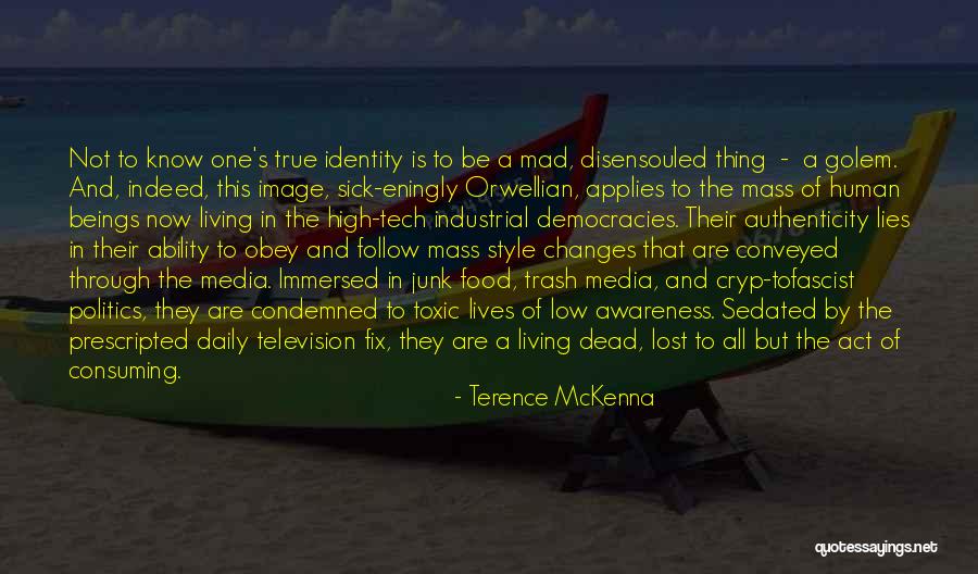 High Tech Quotes By Terence McKenna High Tech Quotes By Terence McKenna