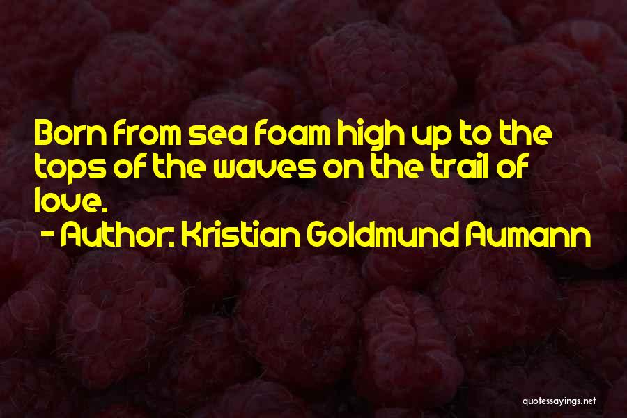 High Tops Quotes By Kristian Goldmund Aumann