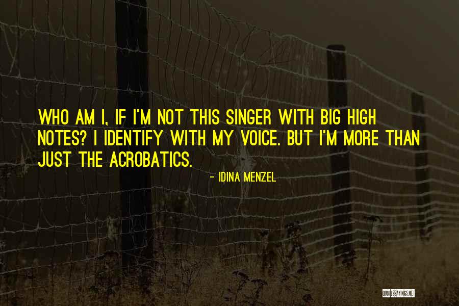 High Voice Singer Quotes By Idina Menzel High Voice Singer Quotes By Idina Menzel