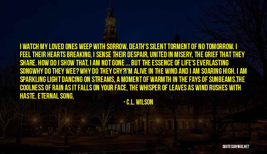 High Wind Quotes By C.L. Wilson High Wind Quotes By C.L. Wilson