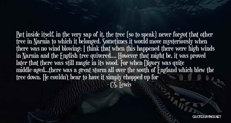 High Wind Quotes By C.S. Lewis High Wind Quotes By C.S. Lewis