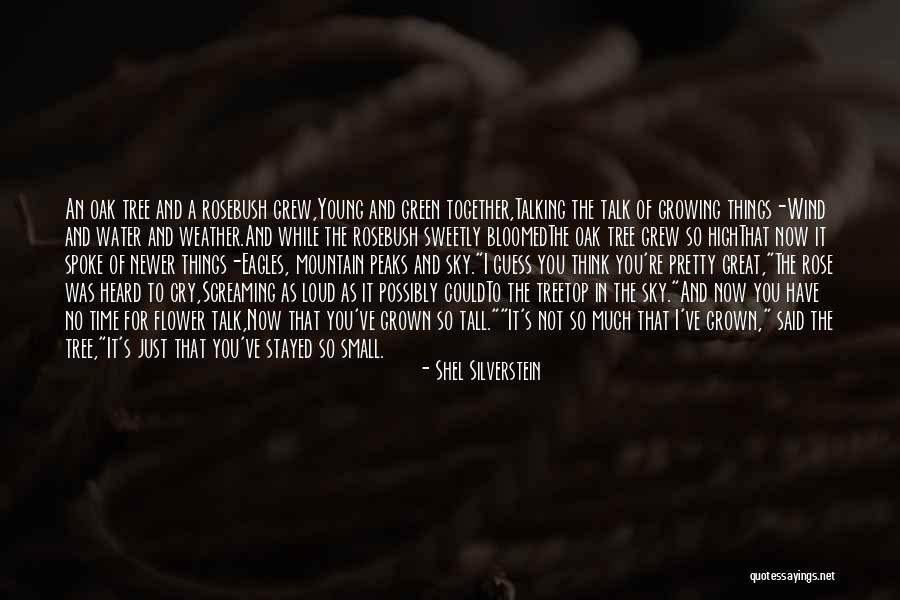 High Wind Quotes By Shel Silverstein High Wind Quotes By Shel Silverstein