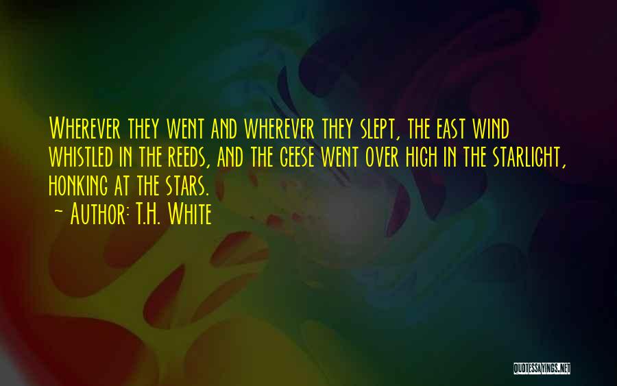 High Wind Quotes By T.H. White