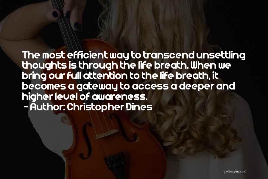 Higher Awareness Quotes By Christopher Dines