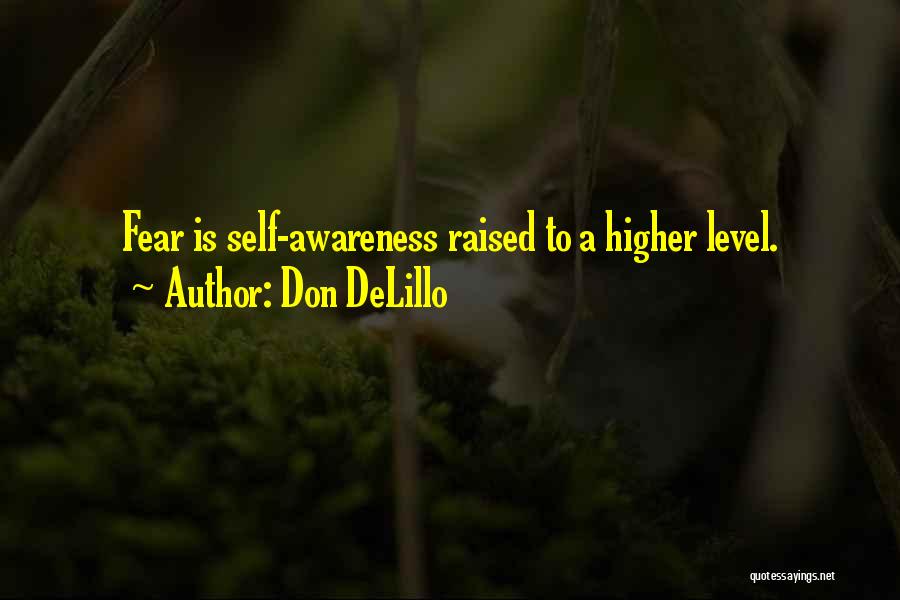 Higher Awareness Quotes By Don DeLillo